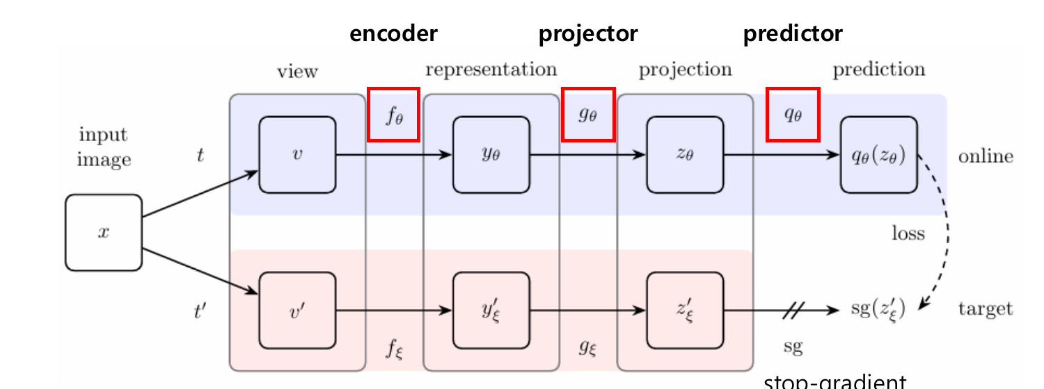 BYOL 아키텍처: online/target 네트워크, encoder·projector·predictor, stop-gradient